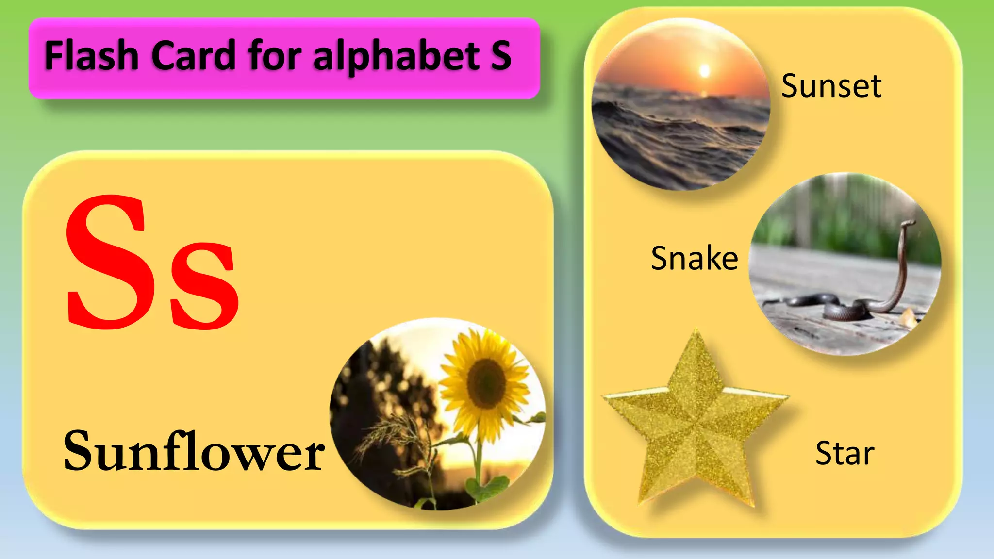 Ss
Sunflower
Sunset
Snake
Star
Flash Card for alphabet S
 