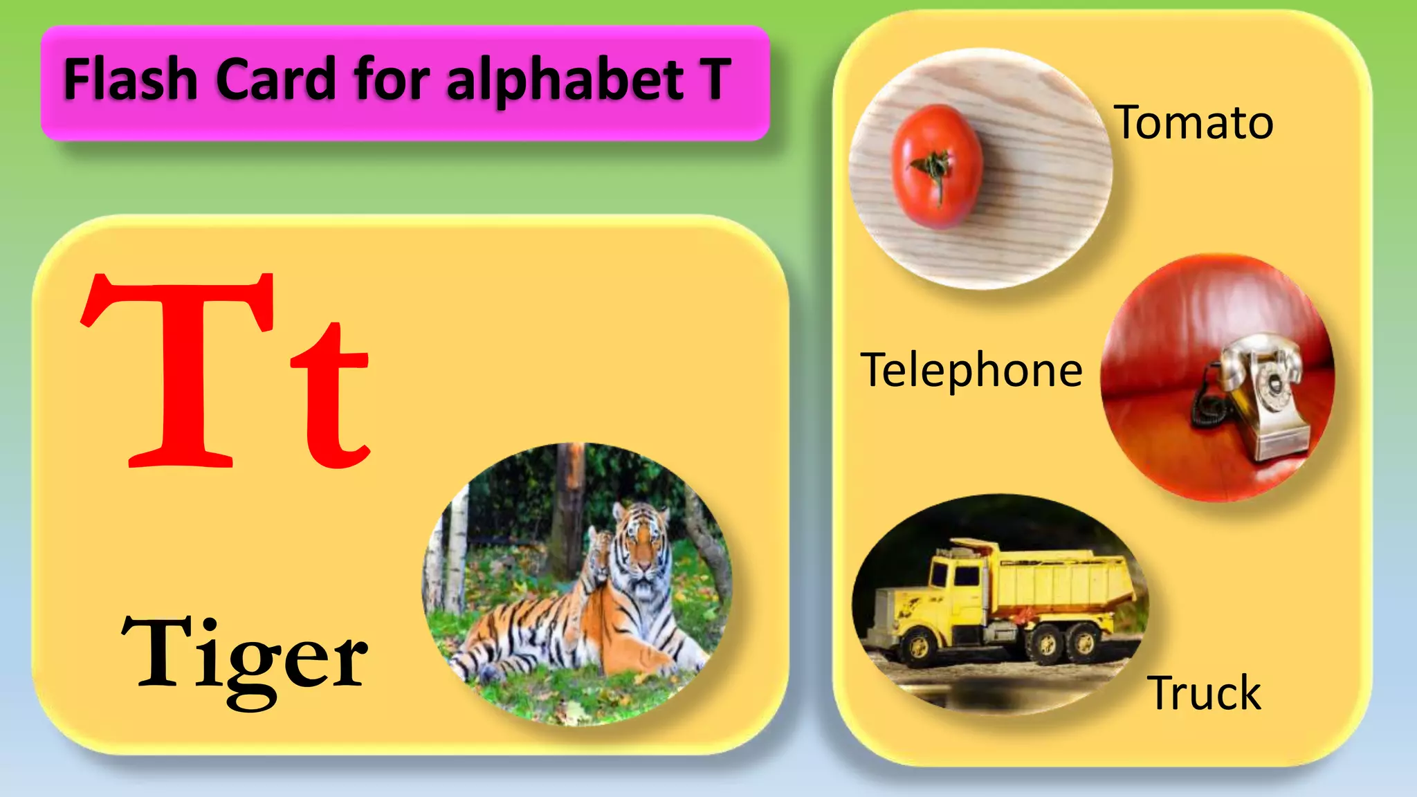 Tt
Tiger
Tomato
Telephone
Truck
Flash Card for alphabet T
 