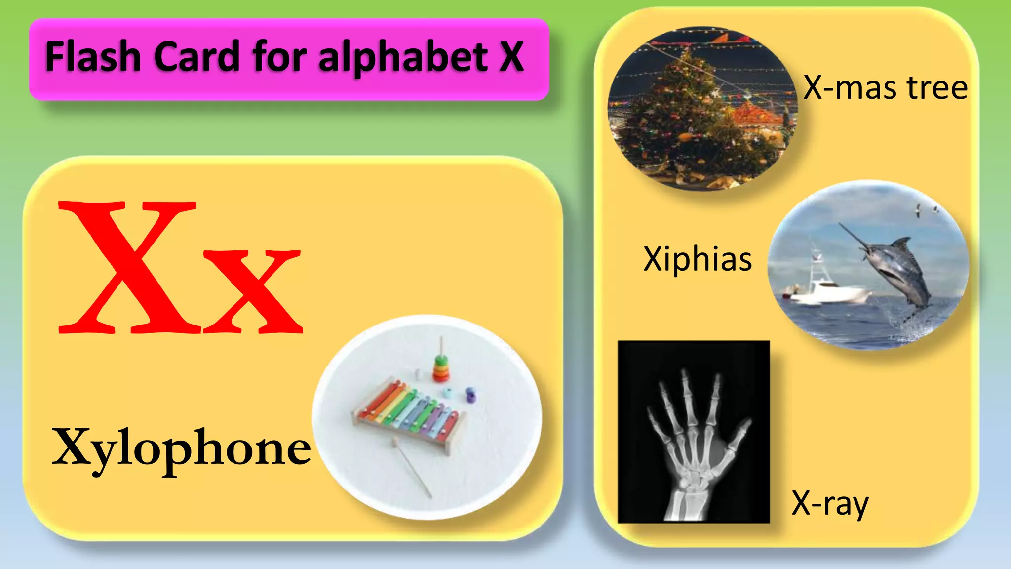 Xx
Xylophone
X-mas tree
Xiphias
X-ray
Flash Card for alphabet X
 