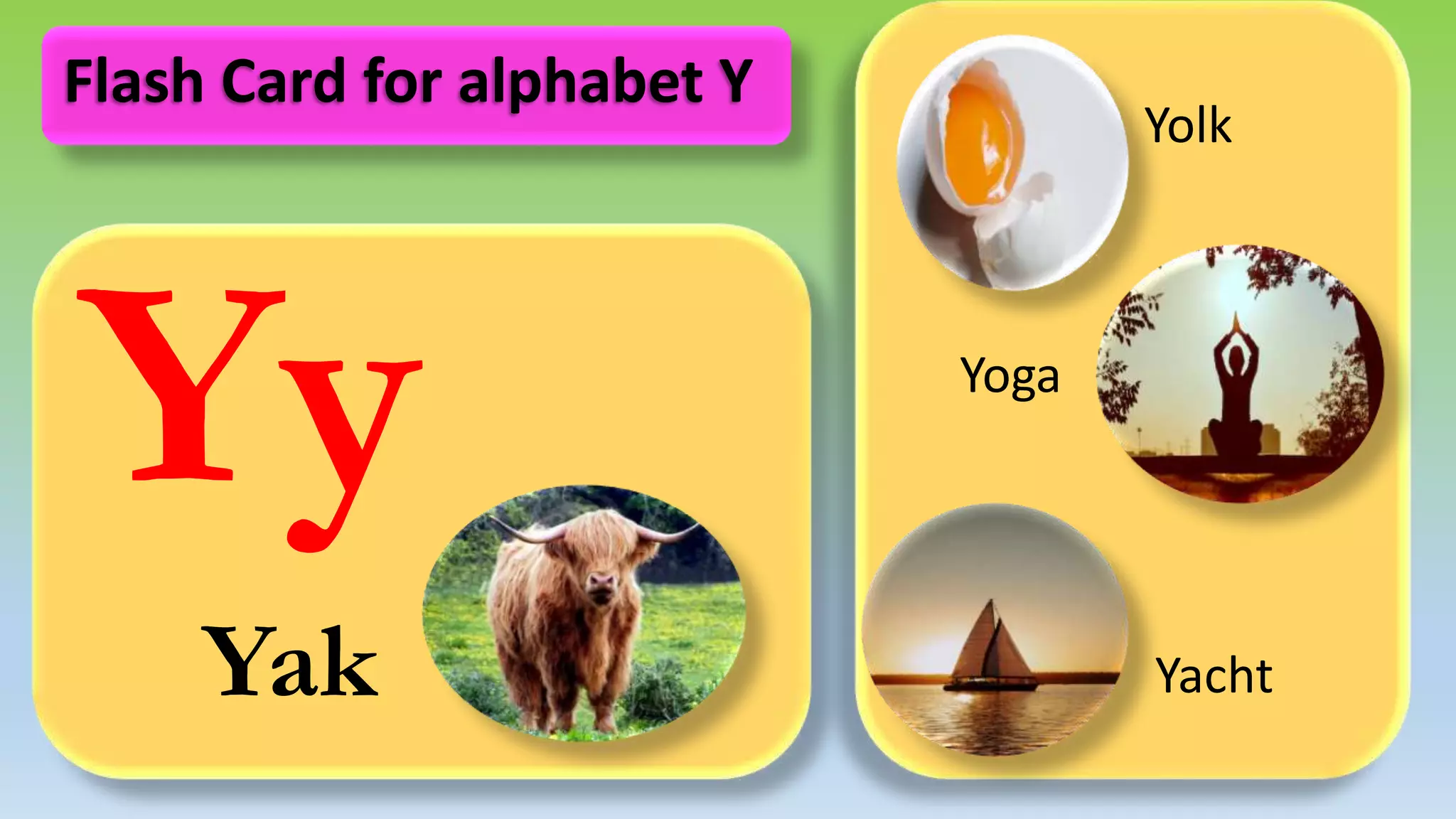 Yy
Yak
Yolk
Yoga
Yacht
Flash Card for alphabet Y
 