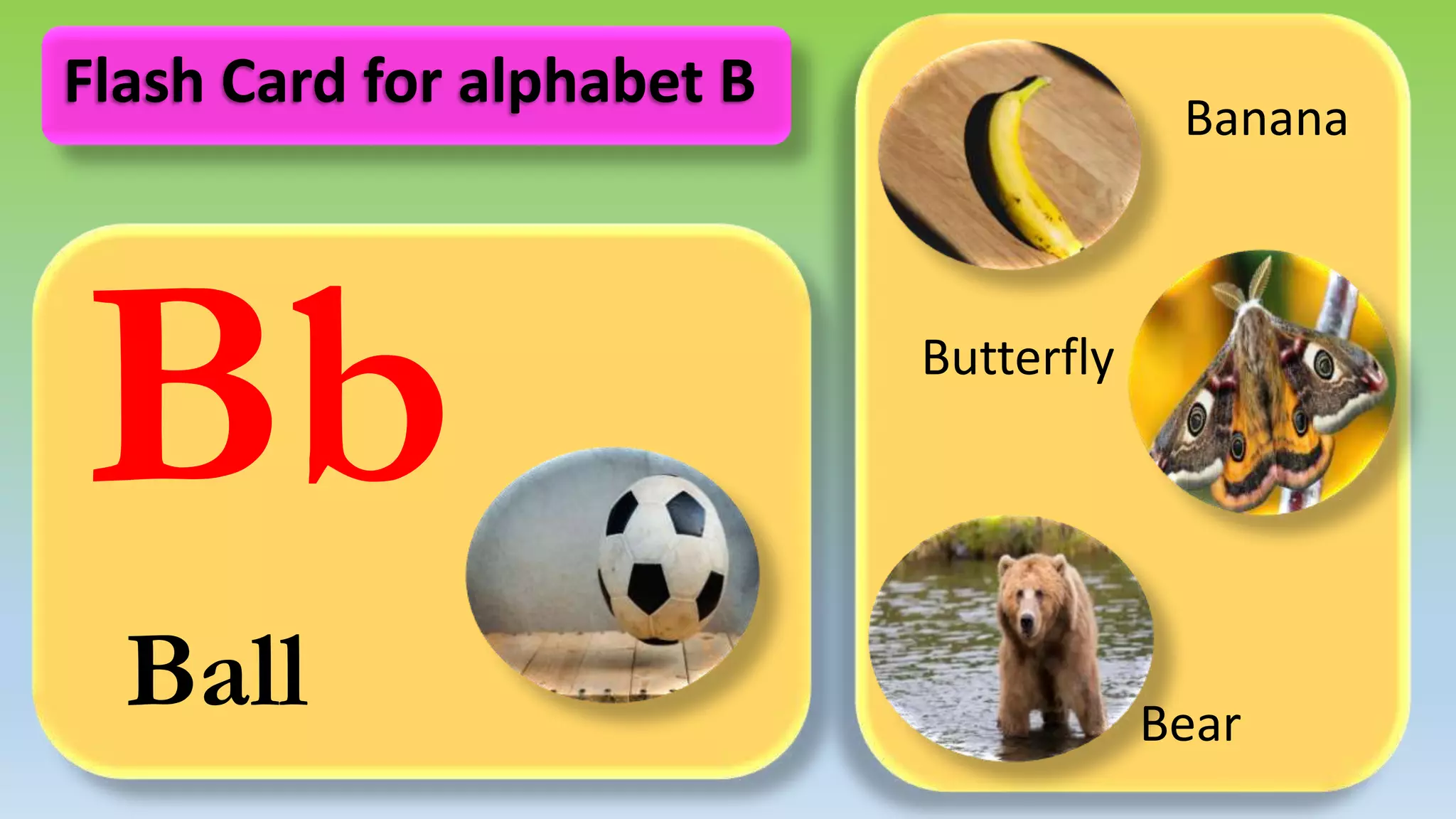 Bb
Ball
Banana
Butterfly
Bear
Flash Card for alphabet B
 