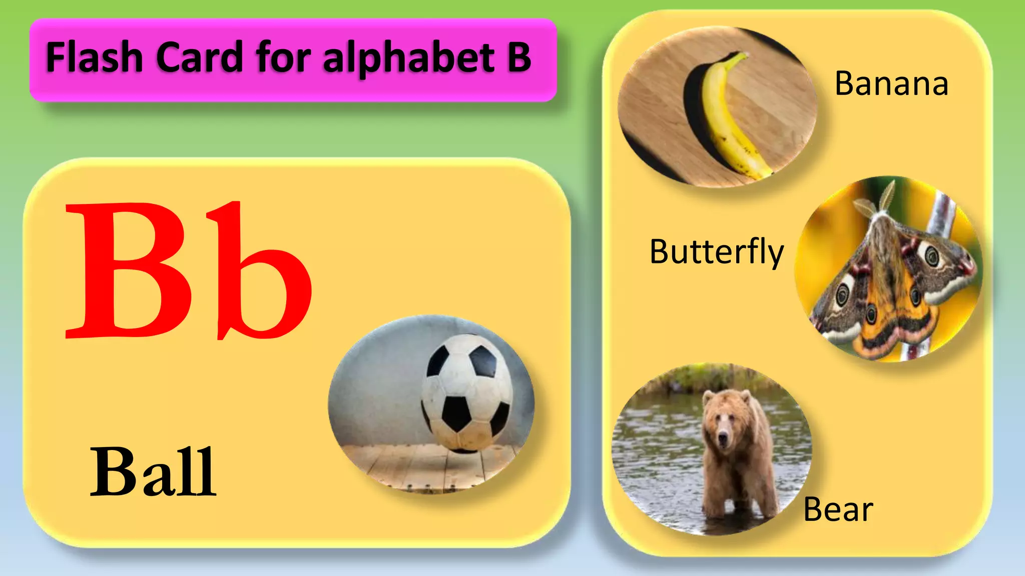 Bb
Ball
Banana
Butterfly
Bear
Flash Card for alphabet B
 