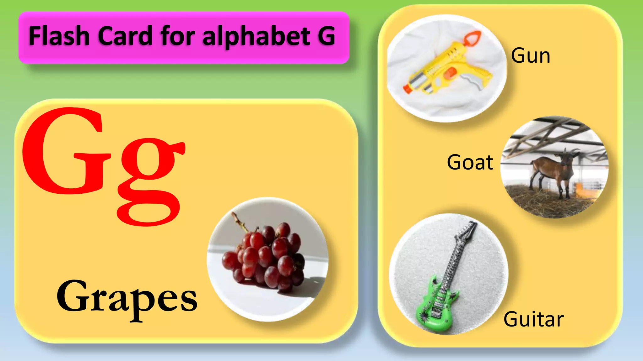 Gg
Grapes
Gun
Goat
Guitar
Flash Card for alphabet G
 