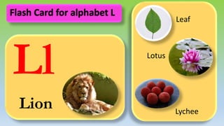 Ll
Lion
Leaf
Lotus
Lychee
Flash Card for alphabet L
 