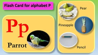 Pp
Parrot
Pear
Pineapple
Pencil
Flash Card for alphabet P
 