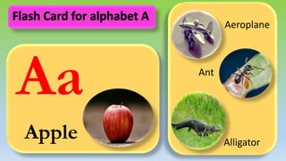 Aa
Apple
Aeroplane
Ant
Alligator
Flash Card for alphabet A
 