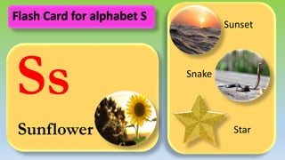 Ss
Sunflower
Sunset
Snake
Star
Flash Card for alphabet S
 