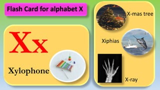 Xx
Xylophone
X-mas tree
Xiphias
X-ray
Flash Card for alphabet X
 