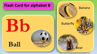 Bb
Ball
Banana
Butterfly
Bear
Flash Card for alphabet B
 