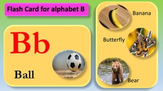 Bb
Ball
Banana
Butterfly
Bear
Flash Card for alphabet B
 