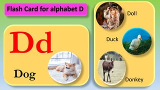 Dd
Dog
Doll
Duck
Donkey
Flash Card for alphabet D
 