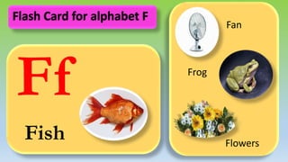 Ff
Fish
Fan
Frog
Flowers
Flash Card for alphabet F
 