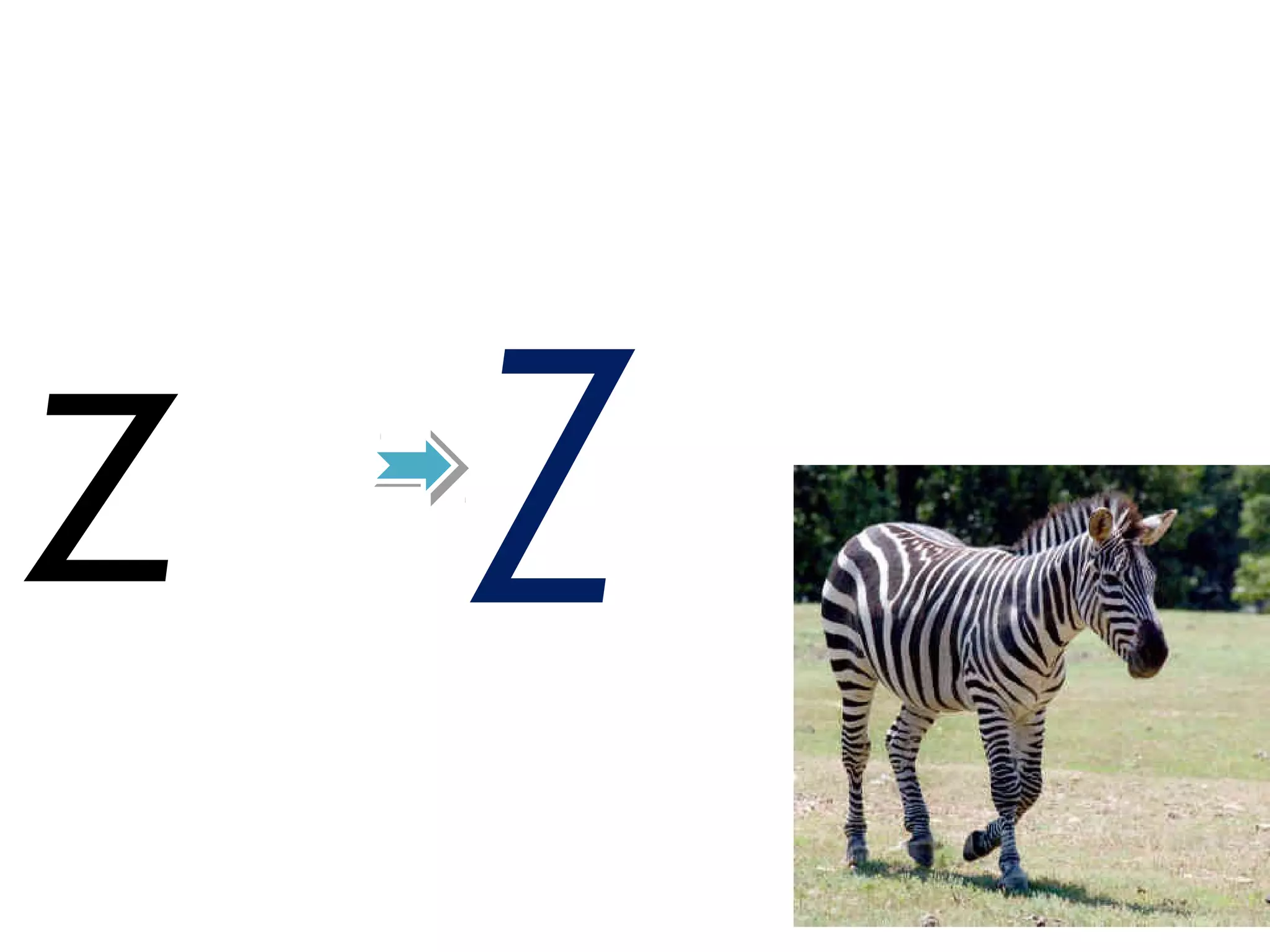 z Z
 