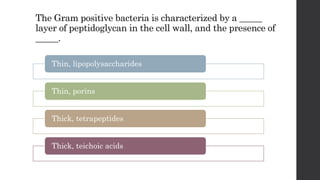 The Gram positive bacteria is characterized by a _____
layer of peptidoglycan in the cell wall, and the presence of
_____.
Thin, lipopolysaccharides
Thin, porins
Thick, tetrapeptides
Thick, teichoic acids
 