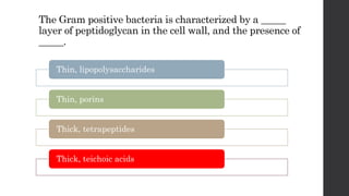 The Gram positive bacteria is characterized by a _____
layer of peptidoglycan in the cell wall, and the presence of
_____.
Thin, lipopolysaccharides
Thin, porins
Thick, tetrapeptides
Thick, teichoic acids
 