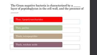 The Gram negative bacteria is characterized by a _____
layer of peptidoglycan in the cell wall, and the presence of
_____.
Thin, lipopolysaccharides
Thin, porins
Thick, tetrapeptides
Thick, teichoic acids
 