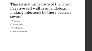 This structural feature of the Gram-
negative cell wall is an endotoxin,
making infections by these bacteria
severe:
• Periplasm
• Teichoic acids
• Peptidoglycan
• Lipopolysaccharide
 