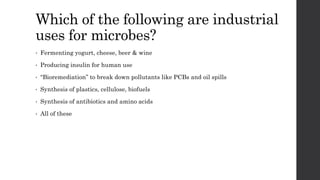 Which of the following are industrial
uses for microbes?
• Fermenting yogurt, cheese, beer & wine
• Producing insulin for human use
• “Bioremediation” to break down pollutants like PCBs and oil spills
• Synthesis of plastics, cellulose, biofuels
• Synthesis of antibiotics and amino acids
• All of these
 