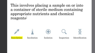 This involves placing a sample on or into
a container of sterile medium containing
appropriate nutrients and chemical
reagents:
Inoculation Incubation Isolation Inspection Identification
 