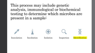This process may include genetic
analysis, immunological or biochemical
testing to determine which microbes are
present in a sample:
Inoculation Incubation Isolation Inspection Identification
 