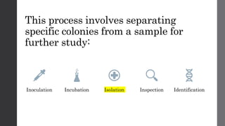 This process involves separating
specific colonies from a sample for
further study:
Inoculation Incubation Isolation Inspection Identification
 