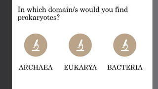 In which domain/s would you find
prokaryotes?
ARCHAEA EUKARYA BACTERIA
 