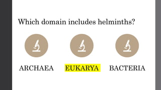 Which domain includes helminths?
ARCHAEA EUKARYA BACTERIA
 