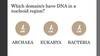 Which domain/s have DNA in a
nucleoid region?
ARCHAEA EUKARYA BACTERIA
 
