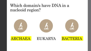 Which domain/s have DNA in a
nucleoid region?
ARCHAEA EUKARYA BACTERIA
 