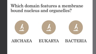 Which domain features a membrane
bound nucleus and organelles?
ARCHAEA EUKARYA BACTERIA
 