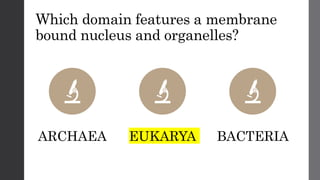 Which domain features a membrane
bound nucleus and organelles?
ARCHAEA EUKARYA BACTERIA
 
