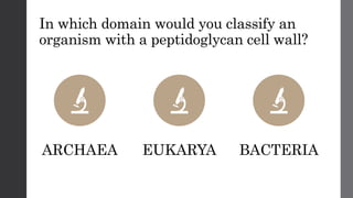 In which domain would you classify an
organism with a peptidoglycan cell wall?
ARCHAEA EUKARYA BACTERIA
 