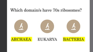 Which domain/s have 70s ribosomes?
ARCHAEA EUKARYA BACTERIA
 