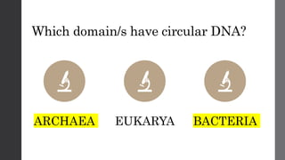 Which domain/s have circular DNA?
ARCHAEA EUKARYA BACTERIA
 