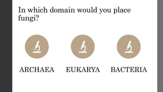 In which domain would you place
fungi?
ARCHAEA EUKARYA BACTERIA
 