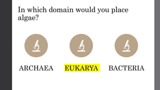 In which domain would you place
algae?
ARCHAEA EUKARYA BACTERIA
 