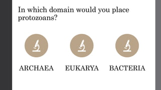 In which domain would you place
protozoans?
ARCHAEA EUKARYA BACTERIA
 