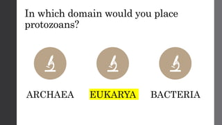 In which domain would you place
protozoans?
ARCHAEA EUKARYA BACTERIA
 