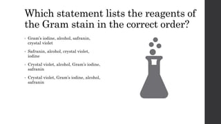 Which statement lists the reagents of
the Gram stain in the correct order?
• Gram’s iodine, alcohol, safranin,
crystal violet
• Safranin, alcohol, crystal violet,
iodine
• Crystal violet, alcohol, Gram’s iodine,
safranin
• Crystal violet, Gram’s iodine, alcohol,
safranin
 