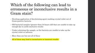 Which of the following can lead to
erroneous or inconclusive results in a
Gram stain?
• Overlong application of decolorizing agent washing crystal violet out of
Gram-positive bacteria
• Old bacterial samples (greater than 24 hours old) that are unable to take up
enough dye to yield conclusive results
• Under-colorizing the sample, so the bacteria are unable to take up the
crystal violet or safranin
• More than one but not all of these
• All of these may lead to inconclusive or incorrect results
 