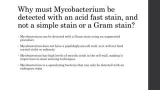 Why must Mycobacterium be
detected with an acid fast stain, and
not a simple stain or a Gram stain?
• Mycobacterium can be detected with a Gram stain using an augmented
procedure
• Mycobacterium does not have a peptidoglycan cell wall, so it will not bind
crystal violet or safranin
• Mycobacterium has high levels of mycolic acids in the cell wall, making it
impervious to most staining techniques
• Mycobacterium is a sporulating bacteria that can only be detected with an
endospore stain
 