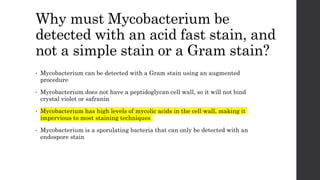 Why must Mycobacterium be
detected with an acid fast stain, and
not a simple stain or a Gram stain?
• Mycobacterium can be detected with a Gram stain using an augmented
procedure
• Mycobacterium does not have a peptidoglycan cell wall, so it will not bind
crystal violet or safranin
• Mycobacterium has high levels of mycolic acids in the cell wall, making it
impervious to most staining techniques
• Mycobacterium is a sporulating bacteria that can only be detected with an
endospore stain
 