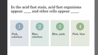 In the acid-fast stain, acid-fast organisms
appear ____ and other cells appear ____.
Pink,
colorless
1
Blue,
colorless
2
Blue, pink
3
Pink, blue
4
 
