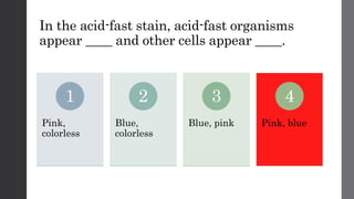In the acid-fast stain, acid-fast organisms
appear ____ and other cells appear ____.
Pink,
colorless
1
Blue,
colorless
2
Blue, pink
3
Pink, blue
4
 
