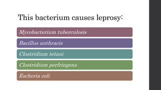 This bacterium causes leprosy:
Mycobacterium tuberculosis
Bacillus anthracis
Clostridium tetani
Clostridium perfringens
Escheria coli
 