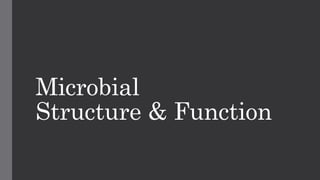 Microbial
Structure & Function
 