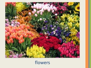 flowers