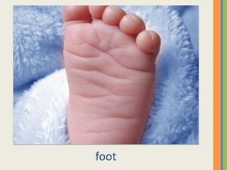 foot