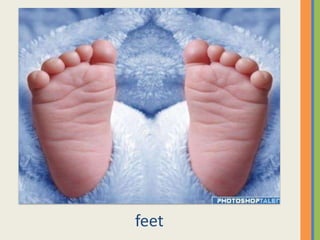 feet