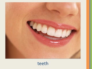 teeth